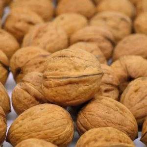 Kashmiri Walnut With Shell - 500g